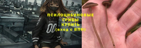 PSILOCYBIN Дмитриев