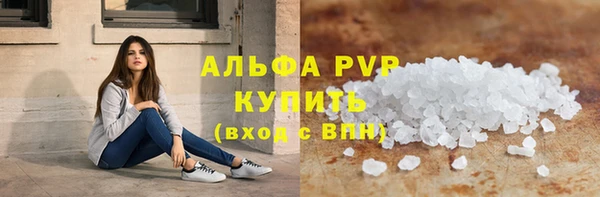 стаф Дмитров