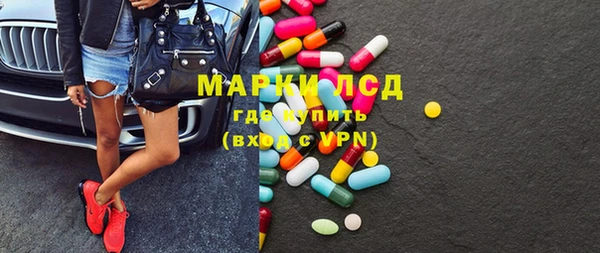 стаф Дмитров