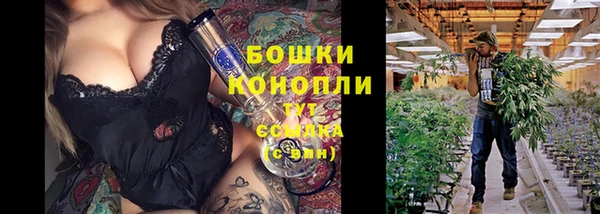 стаф Дмитров
