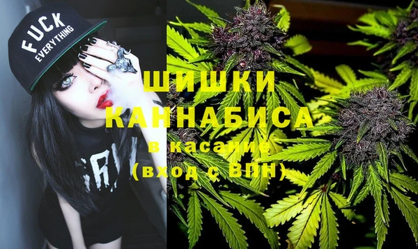 PSILOCYBIN Дмитриев