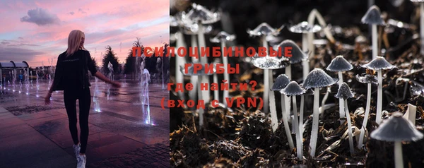 соль курить ск Дмитровск