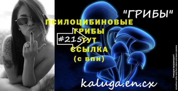 стаф Дмитров