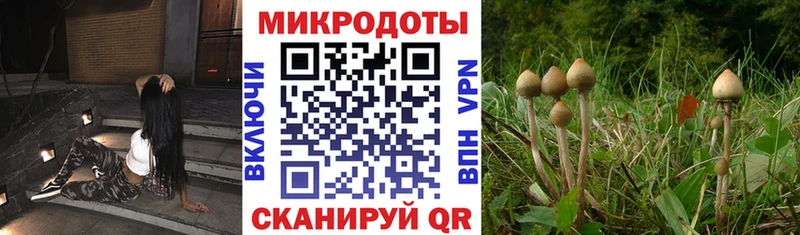 Галлюциногенные грибы ЛСД  дарнет шоп  Невель 